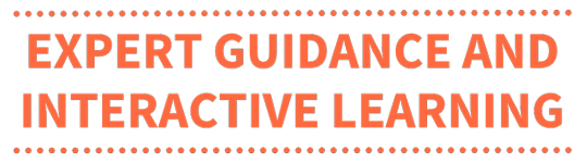 Expert Guidance and Interactive Learning