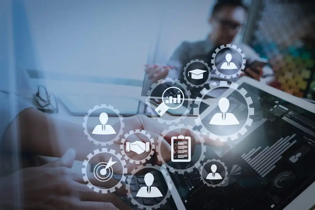 OLP-TCNF-Hiring Tree-04/29/26